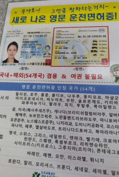 [최신] 영문운전면허증 vs 국제운전면허증 완벽 가이드 (발급 비용 및 국가 정리)