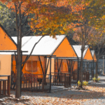 팔공산 글램핑 가을